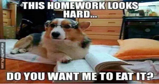 This Homework Looks Hard Do You Want Me To Eat It Pictures, Photos, and ...
