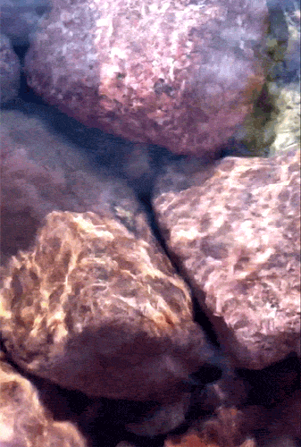 Flowing Water