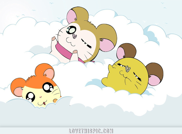 Hamtaro Hamtaro