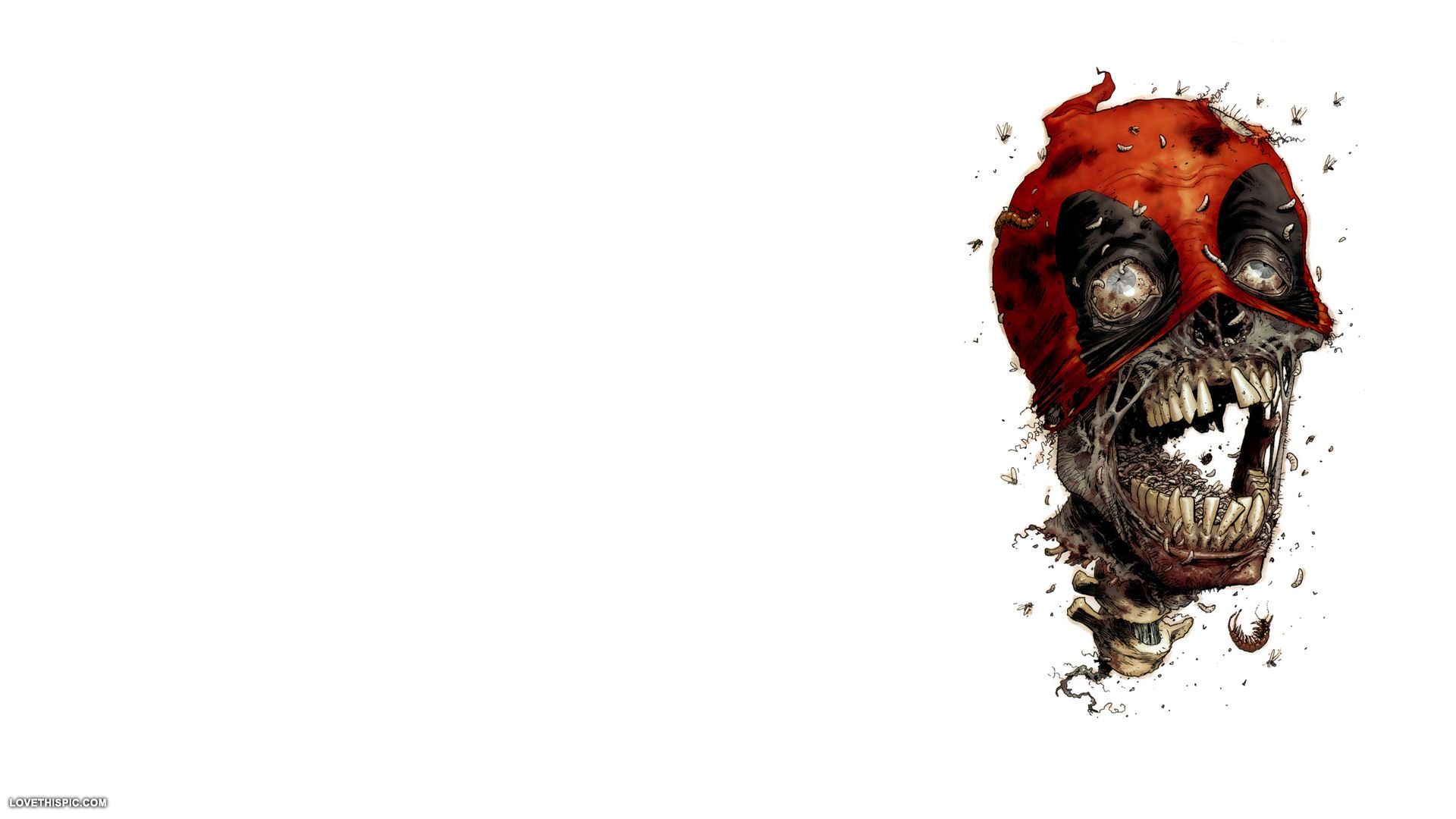 Rotting Skull Rotting Skull