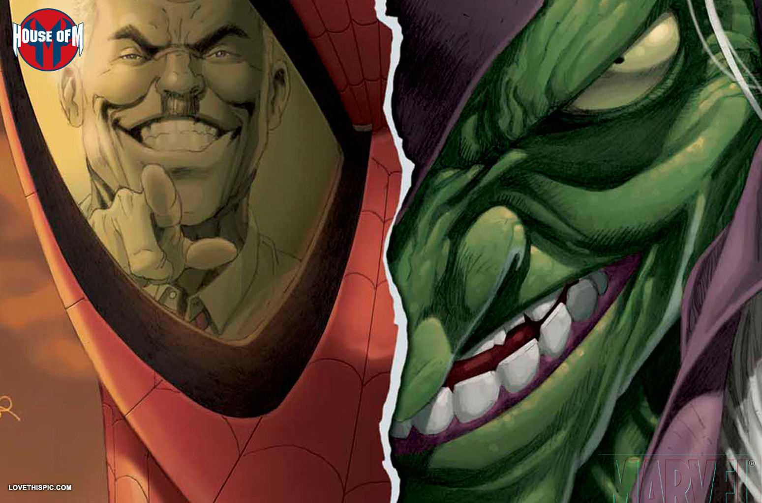 Spiderman - House Of M