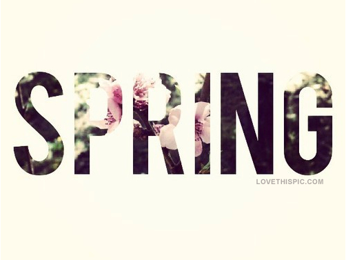 Spring Floral