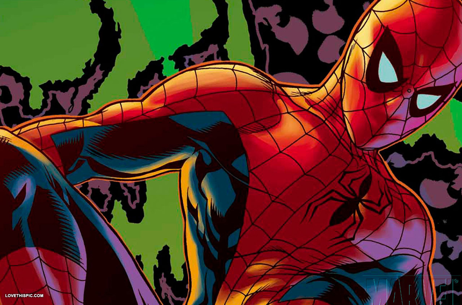 The Amazing Spiderman (2)