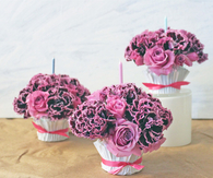 Flower pots cupcake liners