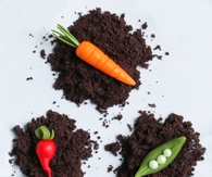 Marzipan Veggies