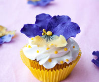 Gum paste pansies
