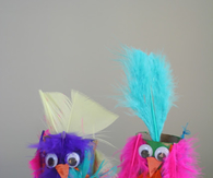 Feathered parrots