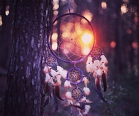 Dream Catching