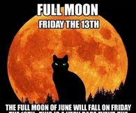 Facts By the black Cat