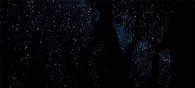 A billion stars in the sky