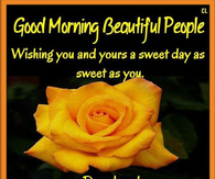 Good Morning