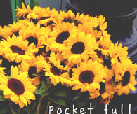 Pocket full of sunshine