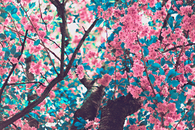 Japanese floral tree