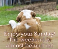 Enjoy You Sunday