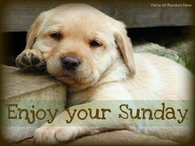 Enjoy Your Sunday