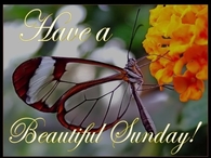 Have a beautiful Sunday