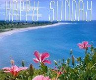 Happy Sunday