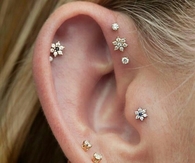 Cute ear studs