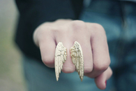 Wing ring