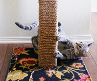 DIY Scratching Post