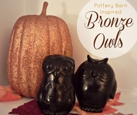Bronze owls