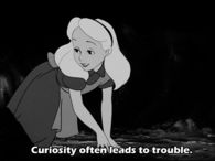 Curiousity