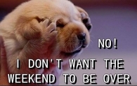 I don't want the weekend to be over