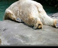 Monday, sometimes you just cant handle them