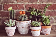Pretty Lace Flower Pots