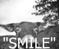 Smile