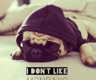 I dont like mondays