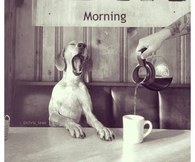 Morning
