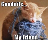 Goodnite my friend