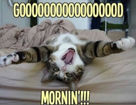 Good Morning