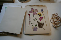 Flower press