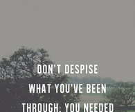 You needed the lessons