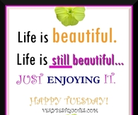 Happy tuesday