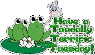 Have a toadally terrific tuesday