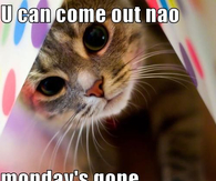 U can come out nao, mondays gone