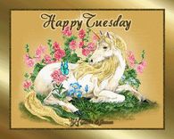 Happy tuesday