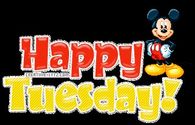Happy tuesday