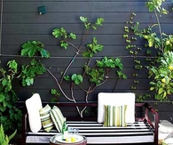 Garden nook