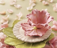 Beautiful tea set