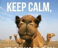 Keep Calm It;s Humpday