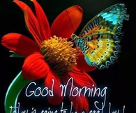 Good Morning