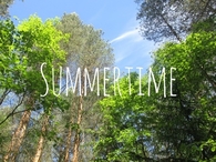 Summertime