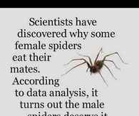 Female Spiders Eat Their Mates