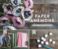 Tissue paper anemone
