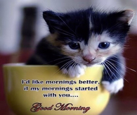 Good Morning