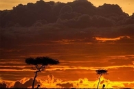 Sunset of Fire